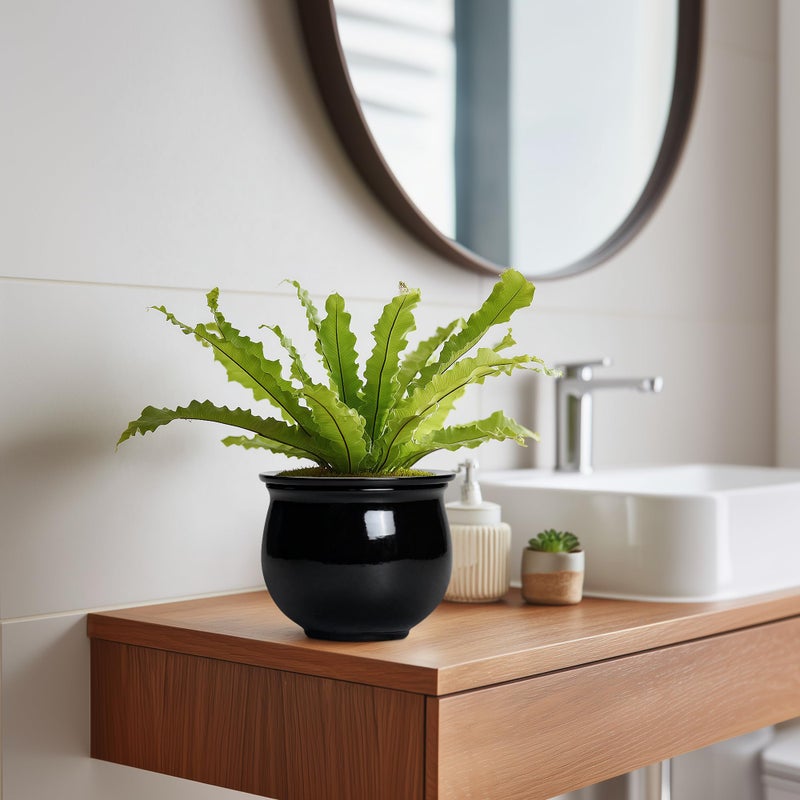 Teagas Ceramic African Violet Self Watering Pots, 6 Inch Self Watering Plant Pot with Absorbent Inner Pot, Flower Pots for Indoor Plants, Round Ceramic Planter, Home Decor, Plant Lover Gifts, Black - Image 5