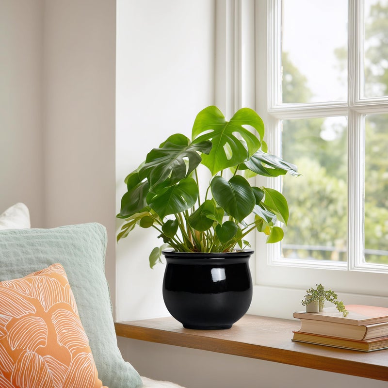Teagas Ceramic African Violet Self Watering Pots, 6 Inch Self Watering Plant Pot with Absorbent Inner Pot, Flower Pots for Indoor Plants, Round Ceramic Planter, Home Decor, Plant Lover Gifts, Black - Image 4