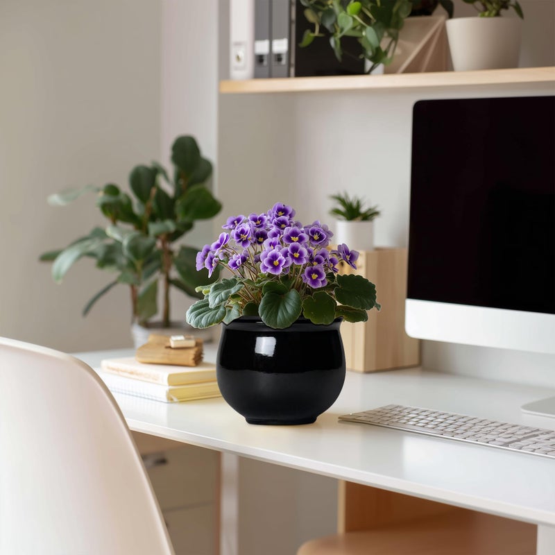 Teagas Ceramic African Violet Self Watering Pots, 6 Inch Self Watering Plant Pot with Absorbent Inner Pot, Flower Pots for Indoor Plants, Round Ceramic Planter, Home Decor, Plant Lover Gifts, Black - Image 3