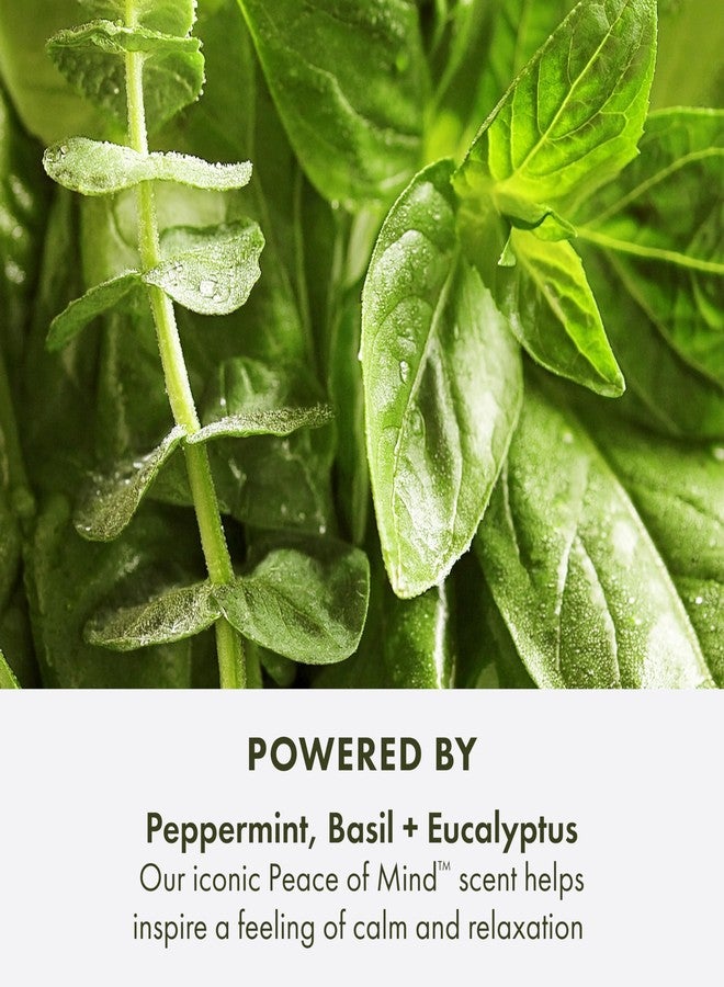 Origins Peace of Mind Relaxing Bath Oil | Softens & Nourishes | with Peppermint, Basil, & Eucalyptus Aromatherapy Essential Oils, 5 Fl Oz - Image 4