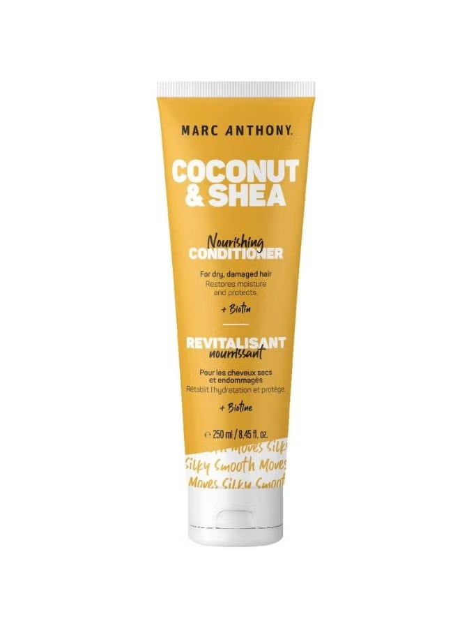 مارك أنتوني بلسم مرطب للشعر بزيت جوز الهند وزبدة الشيا 250 مل