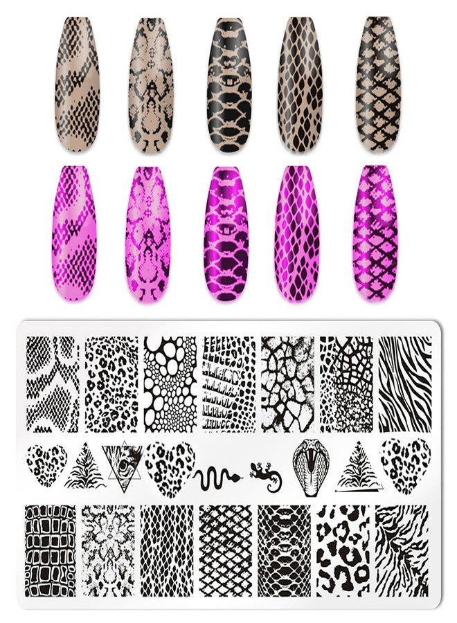 HYWWPFLAY 5Pcs Leopard Print Nail Stamp Nail Stamping Plates Nail Art Stamping Plates Nail Design Stamp Nail Plate Template Nail Art Accessories Tools with 1 Nail Stamper, 1 Scraper - Image 3