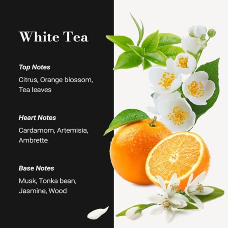 زيت موزع روائح الفنادق من White Tea - 16.9 أونصة سائلة 500 مل - عبوة إعادة تعبئة زيت موزع الهواء البارد الفاخر وزيوت عطرية برائحة الفنادق للمنزل والعلاج العطري والمكاتب - Image 2