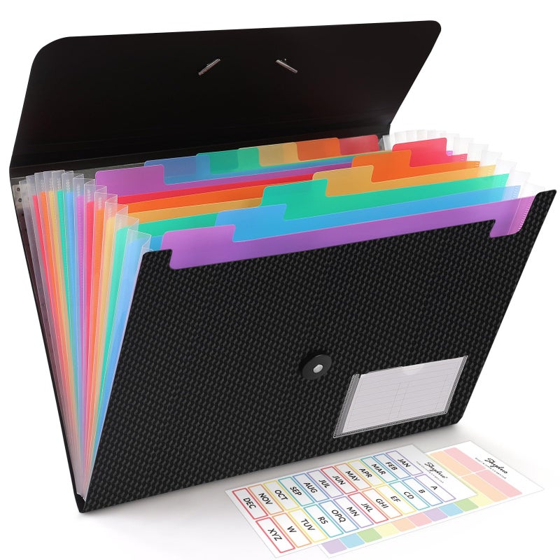 SKYDUE Expanding File Folder, Accordion File Organizer with 13 Pockets for A4/Letter Sized Paper, Accordion Folder with Labels - Document Receipt Organizer for Office, School, Home - Image 1
