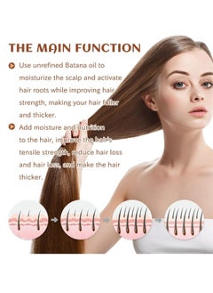 EELHOE Batana Oil for Hair Growth Healthier Thicker Fuller Hair, Batana oil, Batana Oil for Hair Growth, Batana Oil Organic, Batana Oil Organic for Healthy Hair  - Image 5