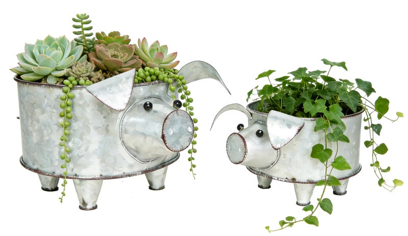 ShabbyDecor Galvanized Metal Pig Succulent Planter Farmhouse Pig Shaped Bowl Metal Pig Tray Rustic Decor Set of 2 - Image 1