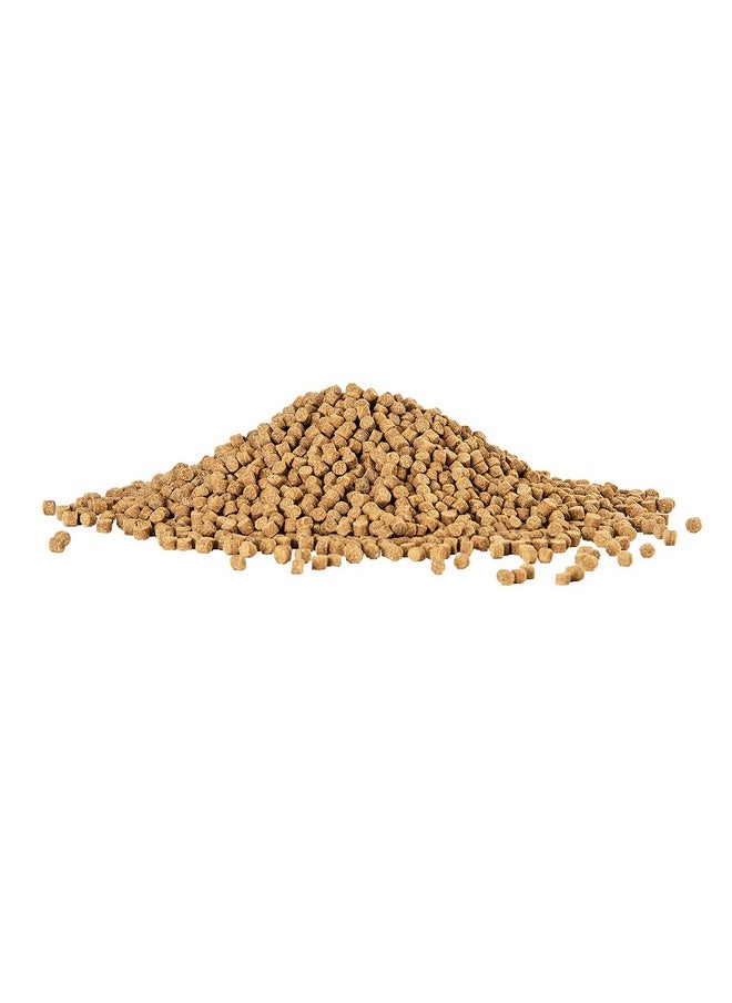 أكيون حبيبات الروبيان من أكيون، طعام غاطس للأسماك الاستوائية، والسمك الذهبي، وسمك اللوتش، وسمك السلور، وغيرها من الأسماك القاعية، 6.5 أونصة  - Image 3