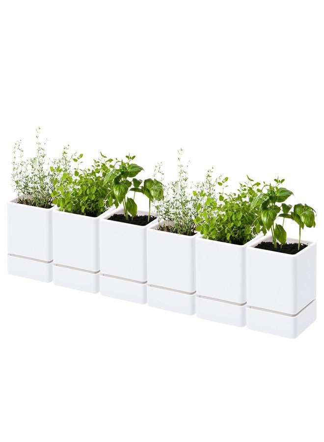 D'vine Dev 4 Inch Herb Planter Pot, Plastic Planter with Drainage Holes and Saucer, Modern Decorative Gardening Pot for Indoor Plants, Flowers, Herbs, Succulents, White, Set of 6, 76-Y-A-6 - Image 1