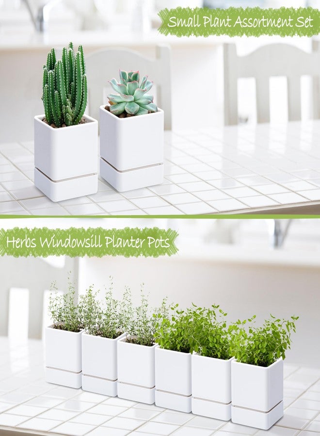 D'vine Dev 4 Inch Herb Planter Pot, Plastic Planter with Drainage Holes and Saucer, Modern Decorative Gardening Pot for Indoor Plants, Flowers, Herbs, Succulents, White, Set of 6, 76-Y-A-6 - Image 4