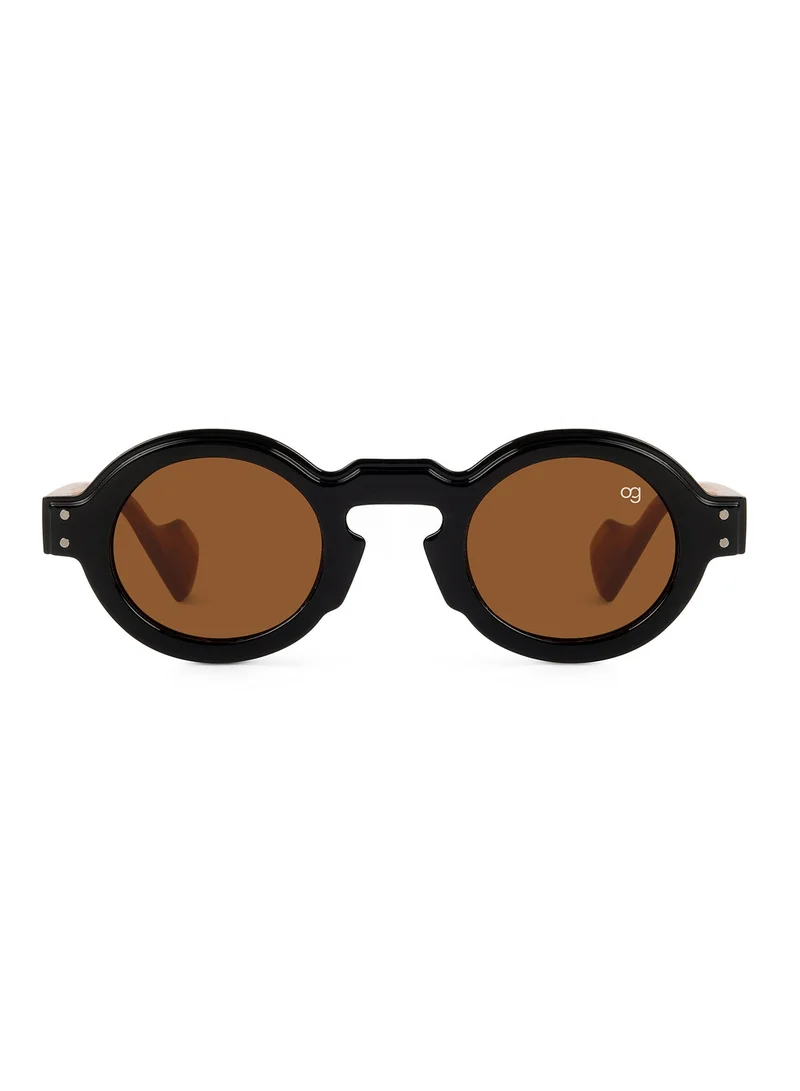 Woggles  Designer Brown Round Sunglasses| Men & Women| 100% Uv Protection  | Best Price UAE