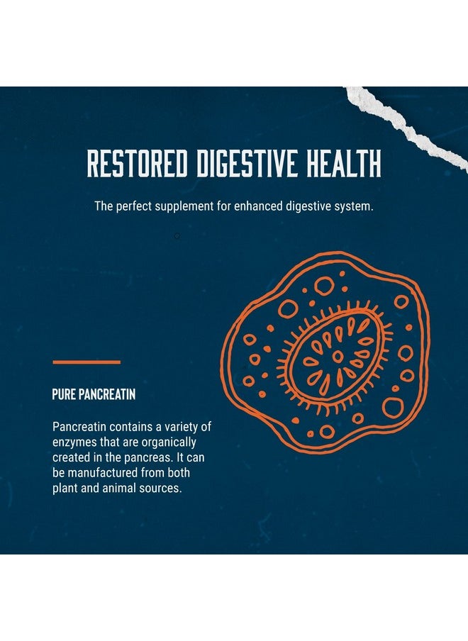 California Products - Gut Health Digestive Enzyme Supplements Pure Digestive Enzymes For Digestion Constipation Relief Pancreatin Digestive Enzymes For Digestive Health - Image 1