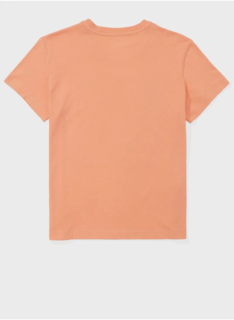 American Eagle Graphic Crew Neck T-Shirt