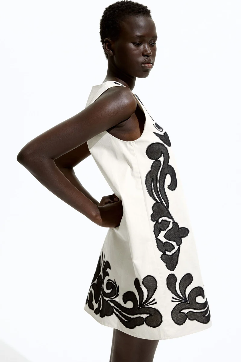 H&M Embroidered A-Line Dress