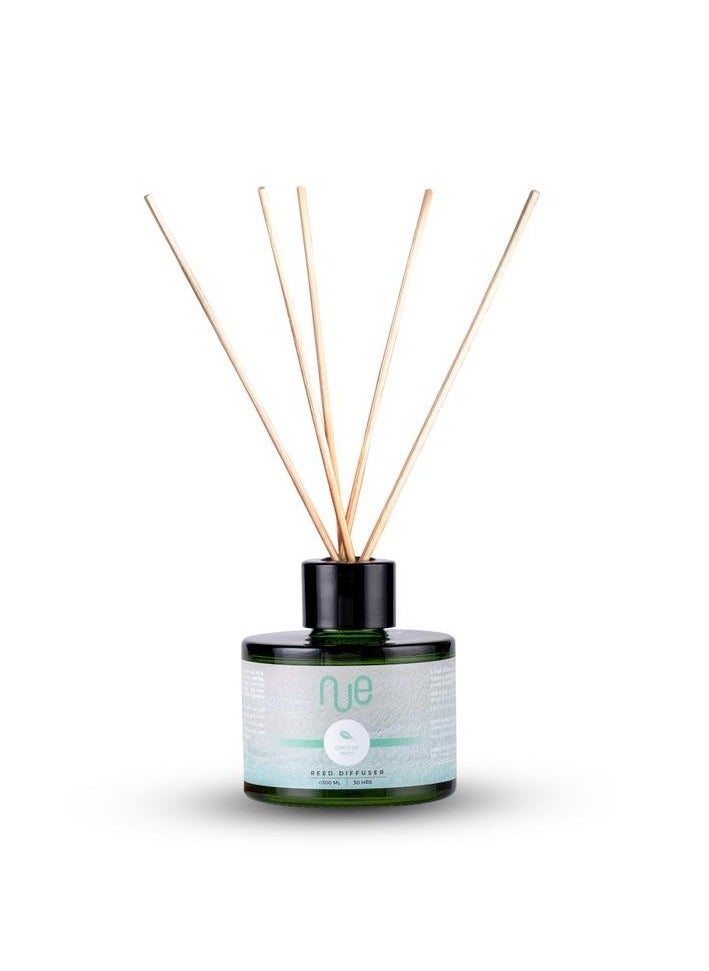 Nue Nue Cinco De Mayo Reed Diffuser  - Image 1