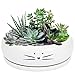 Koolkatkoo Koolkatkoo 8 Inch Large Cute Cat Ceramic Succulent Planter Pots with Removable Saucer Unique Porcelain Cactus Planters  - Image 2