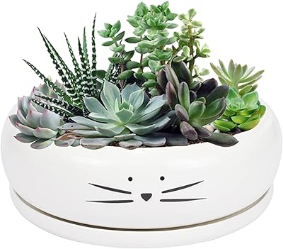 Koolkatkoo Koolkatkoo 8 Inch Large Cute Cat Ceramic Succulent Planter Pots with Removable Saucer Unique Porcelain Cactus Planters  - Image 1