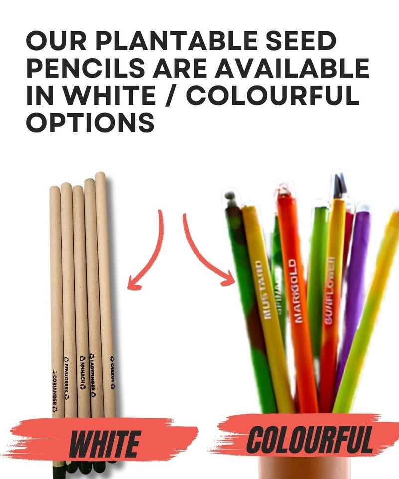 SavSea SavSea Plantable Seed Pencil Set - Grow Your Garden with Every Stroke, No Wood Pencils, Ideal for Return Gifts, Education, and Green Initiatives - Pack of 10  - Image 5