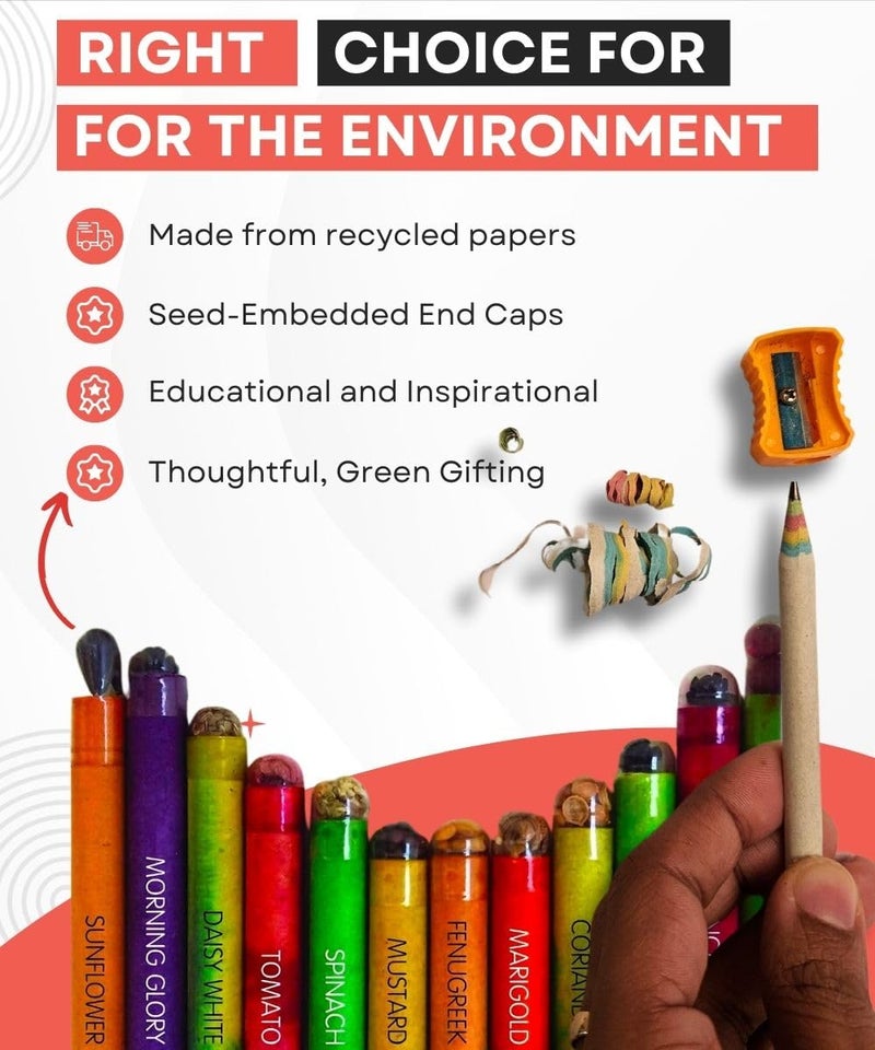 SavSea SavSea Plantable Seed Pencil Set - Grow Your Garden with Every Stroke, No Wood Pencils, Ideal for Return Gifts, Education, and Green Initiatives - Pack of 10  - Image 2