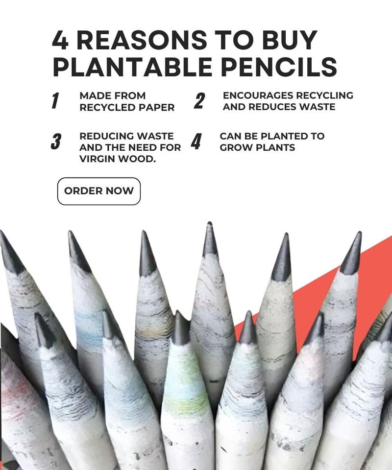 SavSea SavSea Plantable Seed Pencil Set - Grow Your Garden with Every Stroke, No Wood Pencils, Ideal for Return Gifts, Education, and Green Initiatives - Pack of 10  - Image 4