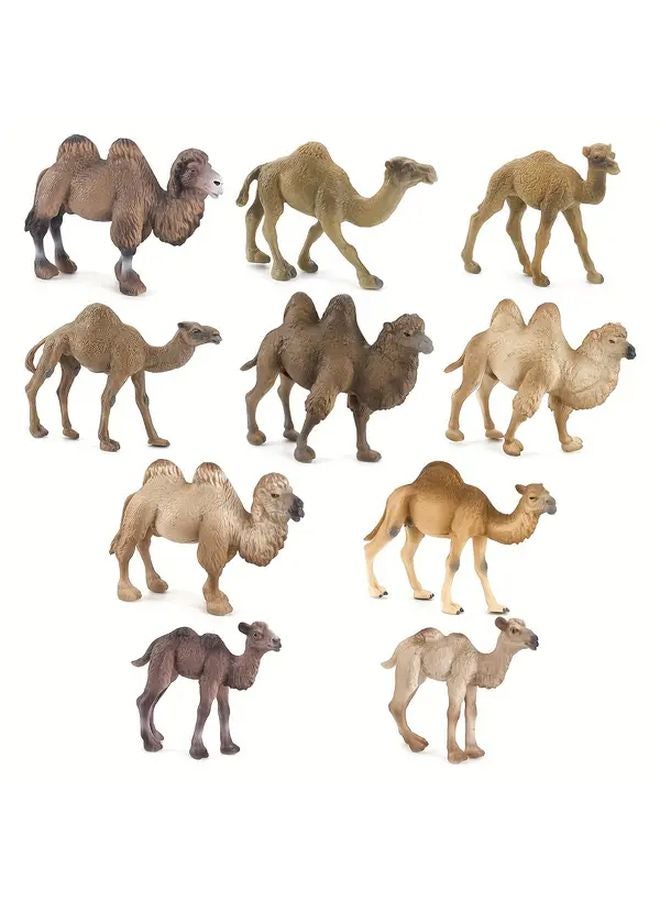 جمل صغير واقعي من فصيلة الجمل العربي تمثال صحراوي لعبة تعليمية لتطوير الإدراك - Image 2