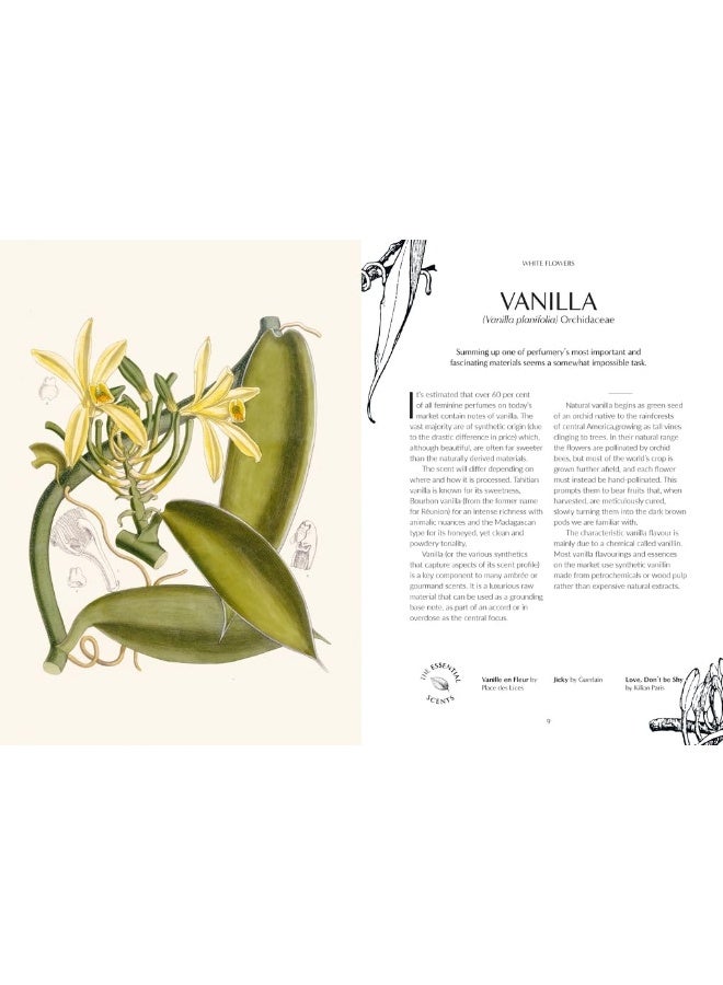 Kew - Fragrance: From plant to perfume, the botanical origins of scent - Image 3