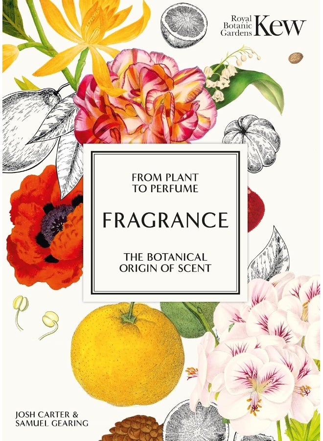 Kew - Fragrance: From plant to perfume, the botanical origins of scent - Image 1