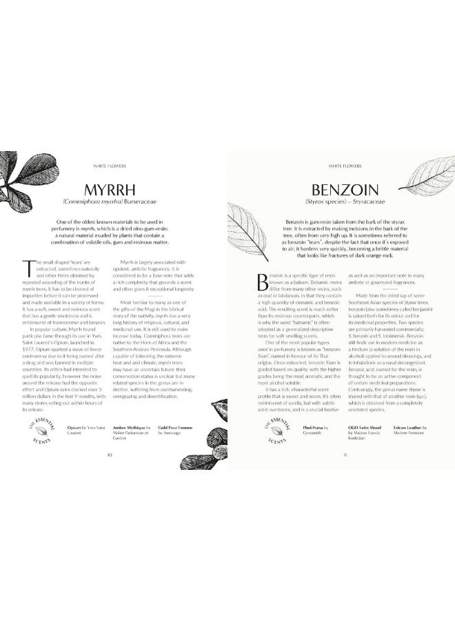 Kew - Fragrance: From plant to perfume, the botanical origins of scent - Image 5