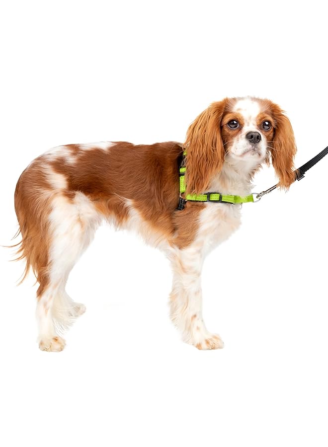 PetSafe Deluxe Easy Walk Dog Harness Martingale Loop With D Ring Stops Pulling Training And Behavior Aid Reflectivity Enhances Visibility In Low Light Comfortable Padding Apple Black S - Image 1