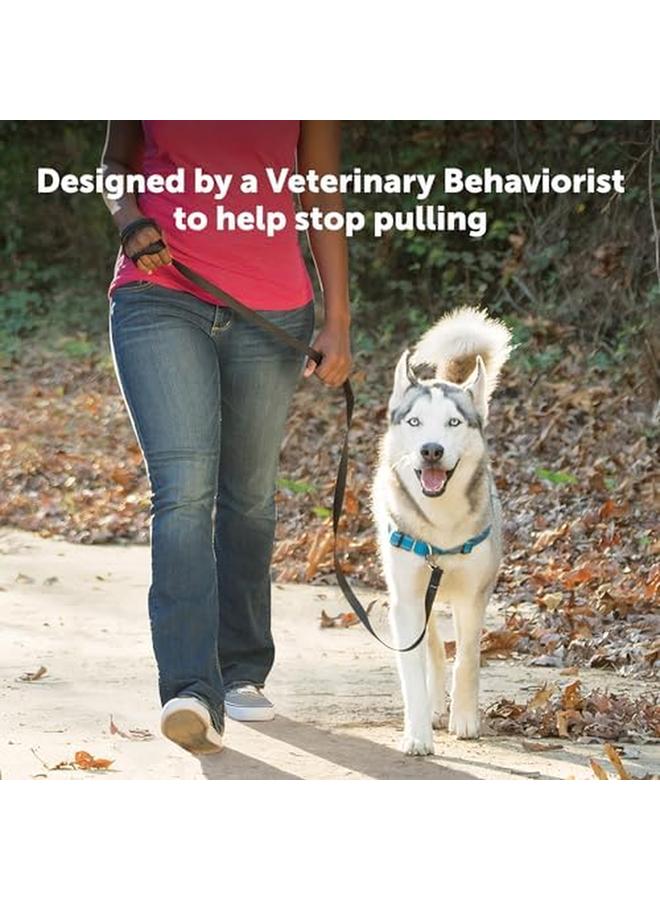 PetSafe Deluxe Easy Walk Dog Harness Martingale Loop With D Ring Stops Pulling Training And Behavior Aid Reflectivity Enhances Visibility In Low Light Comfortable Padding Apple Black S - Image 2