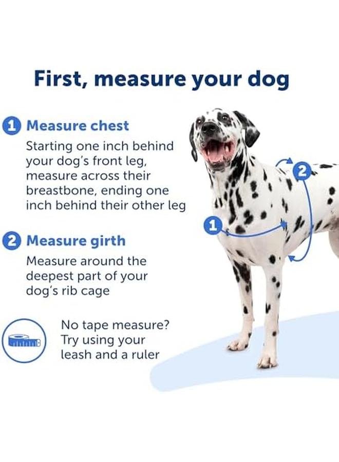 PetSafe Deluxe Easy Walk Dog Harness Martingale Loop With D Ring Stops Pulling Training And Behavior Aid Reflectivity Enhances Visibility In Low Light Comfortable Padding Apple Black S - Image 4