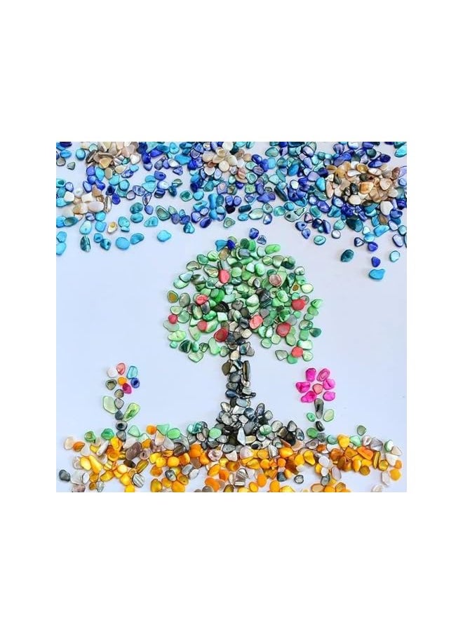The Bros Crushed Shells Decoration for Crafts, Small Natural Crushed Shells Bulk for Crafts DIY Beaching Wedding Decoration Vase Fillers (500g, Green)  - Image 4