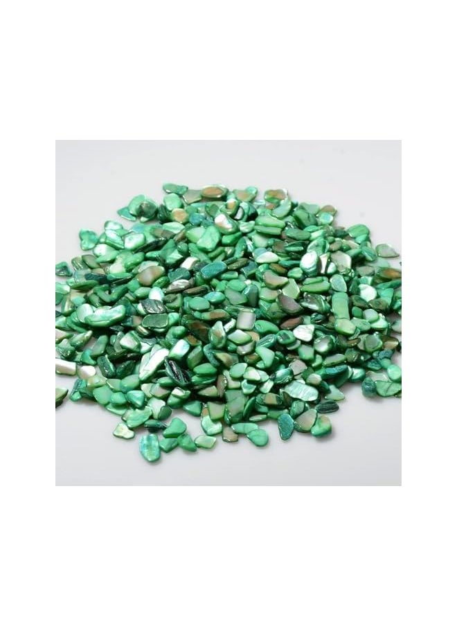 The Bros Crushed Shells Decoration for Crafts, Small Natural Crushed Shells Bulk for Crafts DIY Beaching Wedding Decoration Vase Fillers (500g, Green)  - Image 2