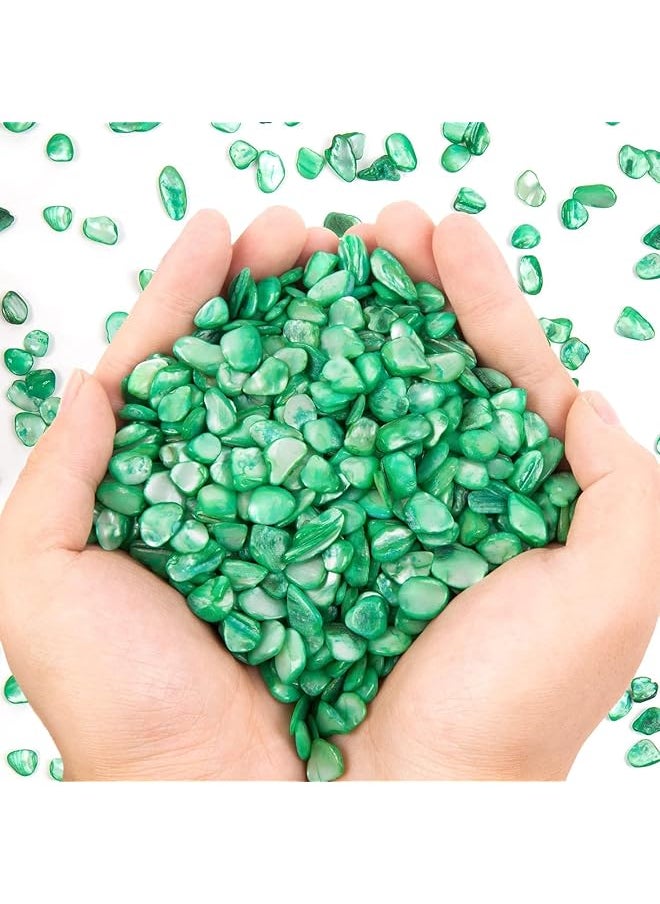 The Bros Crushed Shells Decoration for Crafts, Small Natural Crushed Shells Bulk for Crafts DIY Beaching Wedding Decoration Vase Fillers (500g, Green)  - Image 1