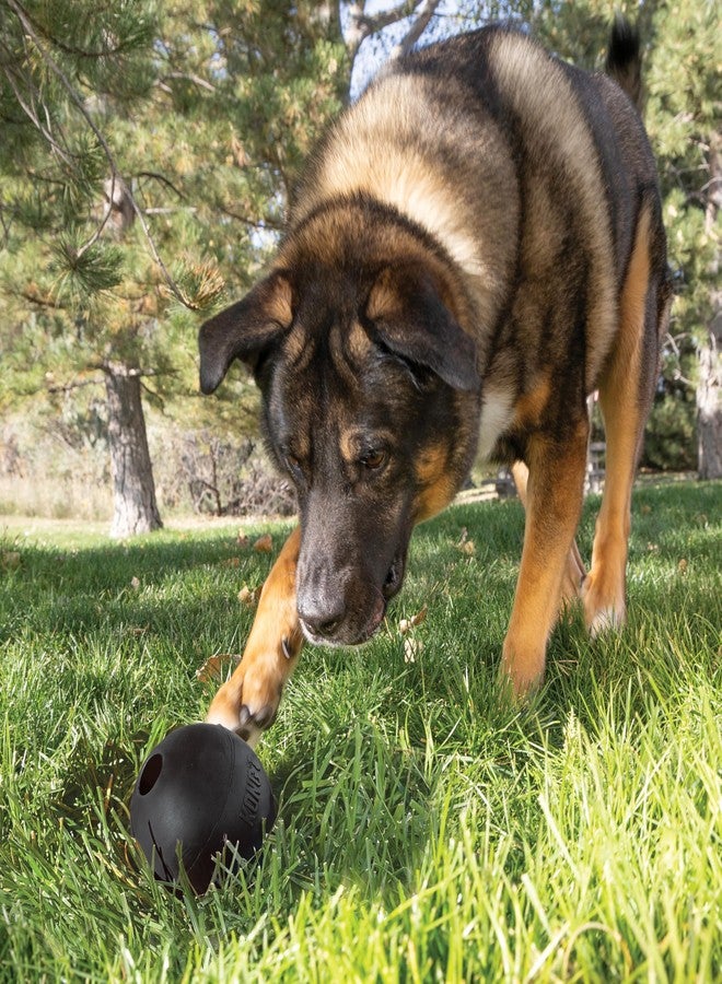 KONG Extreme Ball with Hole - Fetch Toy - Durable Dog Toy for Training, Interactive Playtime & More - Natural Extreme Rubber Ball - Black - for Large Dogs - Image 2