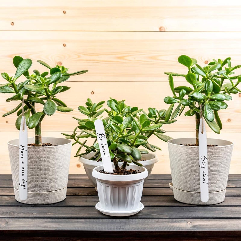 Whaline 200Pcs Thick Plastic Plant Labels with Hole White Garden Stakes Waterproof Garden Tag Signs for Greenhouse Seedlings Flowers Spotted Plants with 2 Marker Pen and A Roll of Twine (10 CM) - Image 4
