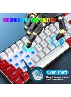 Rock Pow 61keys Wired 60% Mechanical Gaming Keyboard Blue Switch Full Anti-ghosting Portable Mini Keyboard for Windows Laptop PC Mac  - Image 4