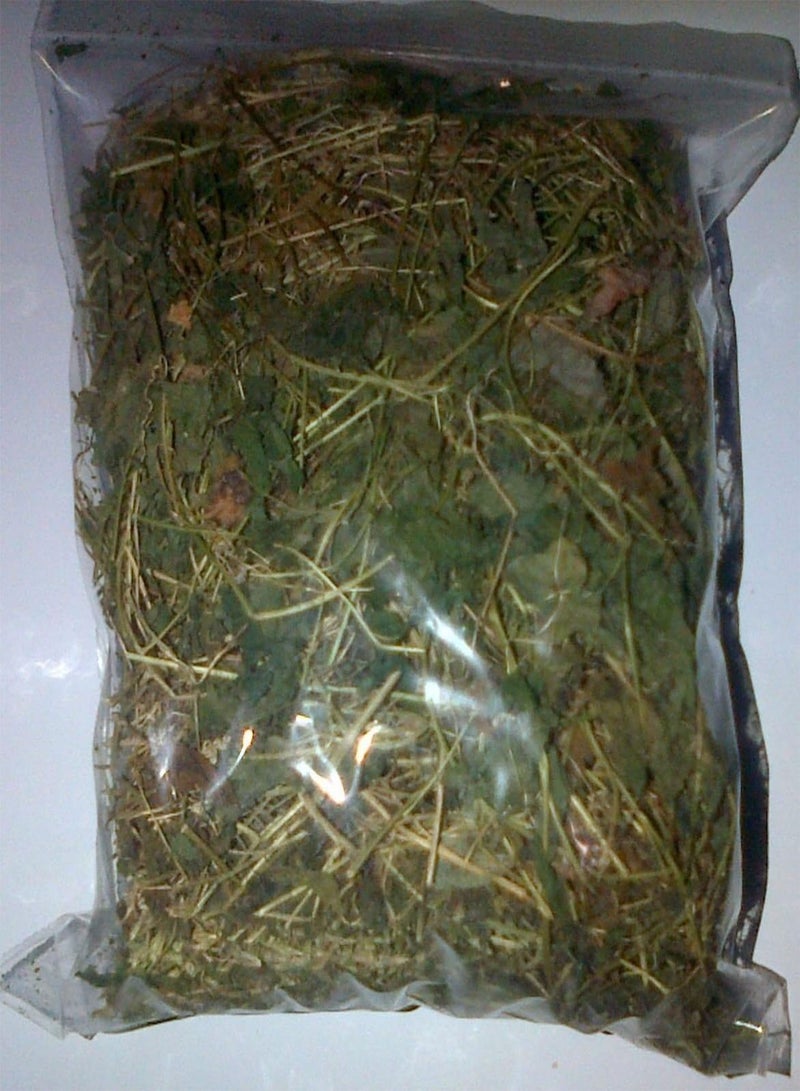 GGOOT Jamaican Cerasse Leaves - (1/4 oz Pack),The Bitter herb That Works