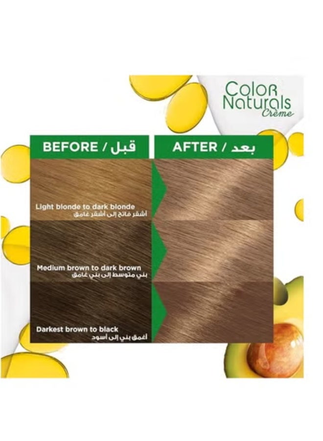Garnier Color Naturals Permanent Creme Hair Color - 8.11 Deep Ashy Light Blonde 112 ML - Image 3