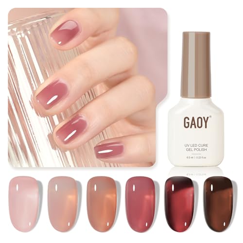 GAOY Rose Garden Jelly Gel Nail Polish of 6 Transparent Nude Red Pink Brown Colors Sheer Gel Polish Kit for Salon Manicure and Nail Art DIY at Home - Image 1