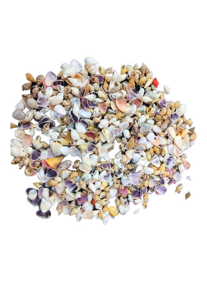 NIBEMINENT Varied Size Seashells Mixed for Beach Theme Multicolour 20.00 x 5.00 15.00cm - Image 1
