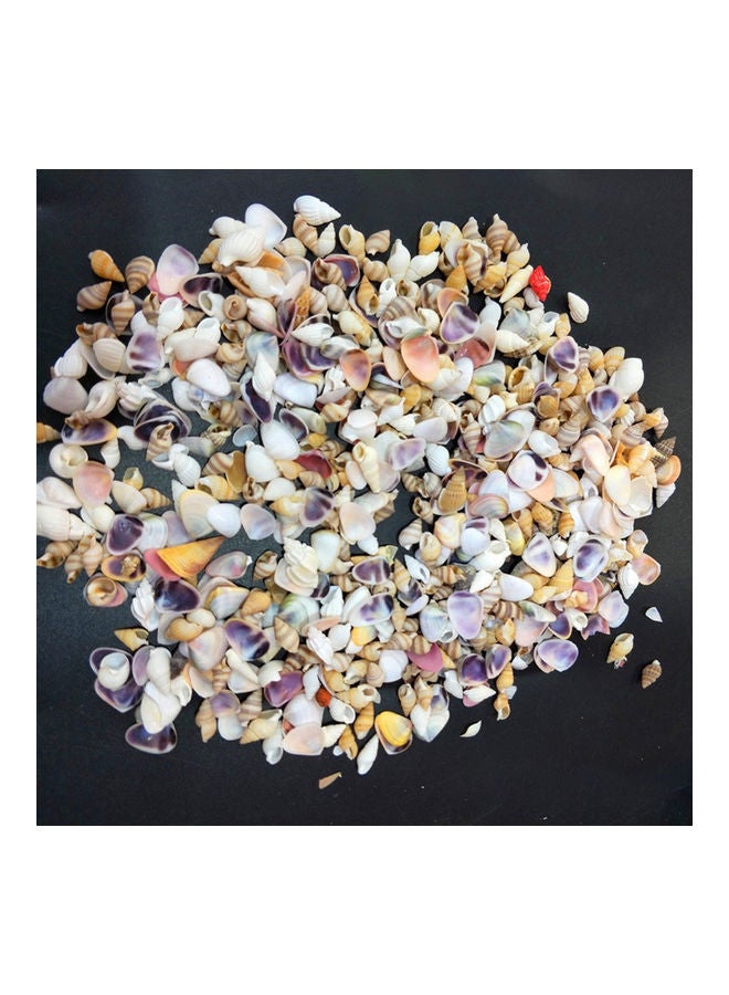 NIBEMINENT Varied Size Seashells Mixed for Beach Theme Multicolour 20.00 x 5.00 15.00cm - Image 3