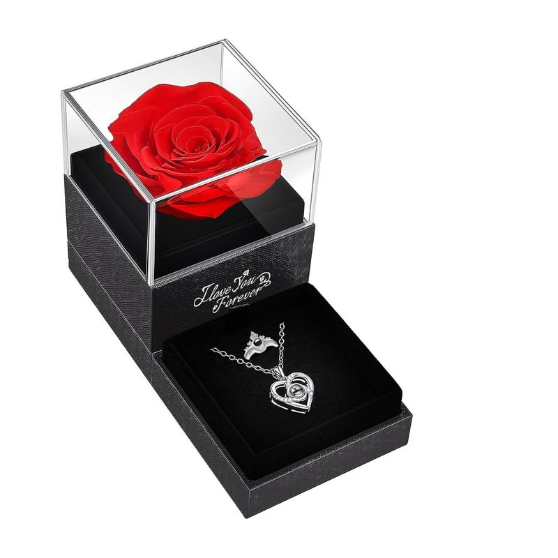 Norcalway Norcalway Preserved Real Rose with Necklace I Love You in 100 Languages  Eternal Flower Perfect Women Girlfriend Or Wife 