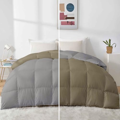 Razzai 500 GSM Winter Comforter Premium Collection Quilted Revesible Comforter (90" x 90" Inches/228cm x 228cm) - Queen Size | Silver/Beige - Image 1