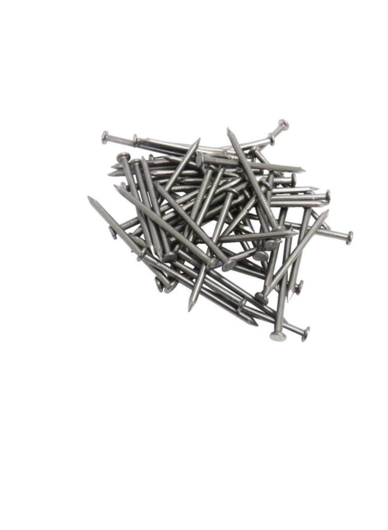 High Strength Round Head Nails For Carpentry Hardware Electrical Etc (100, 2 1/2 inch) - Image 1