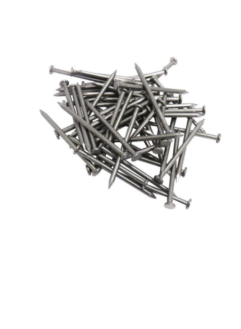 High Strength Round Head Nails For Carpentry Hardware Electrical Etc (100, 2 1/2 inch) - Image 3