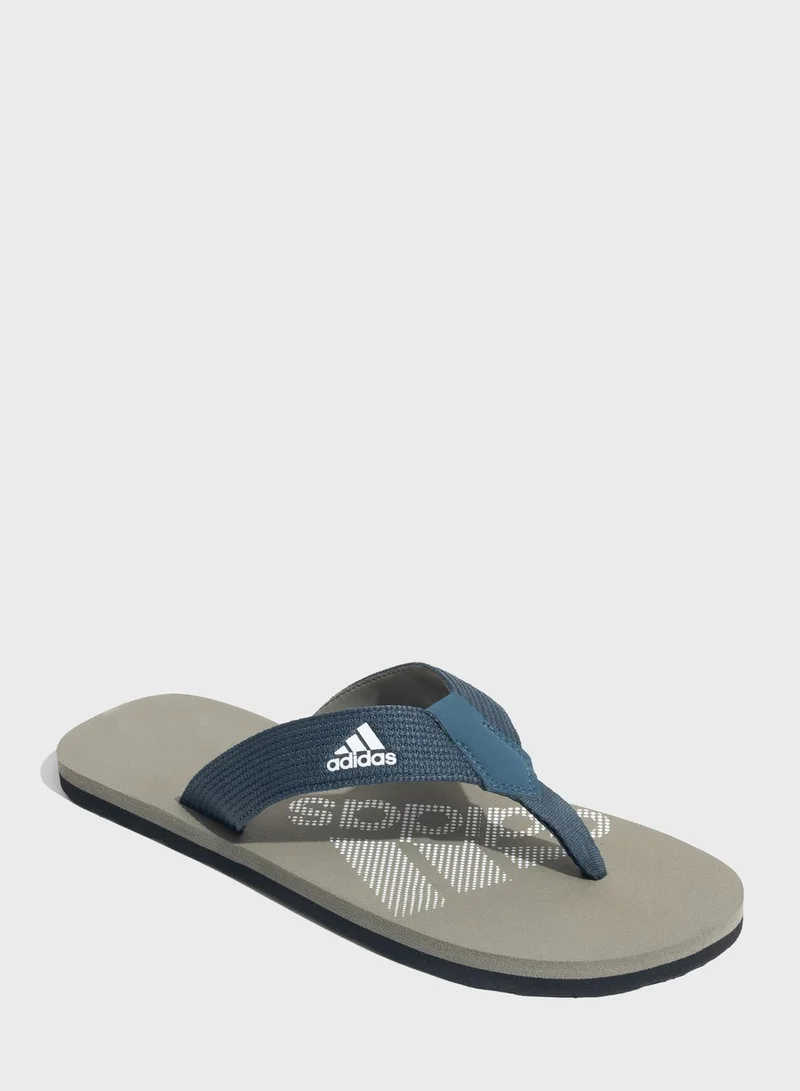 Adidas Zenith