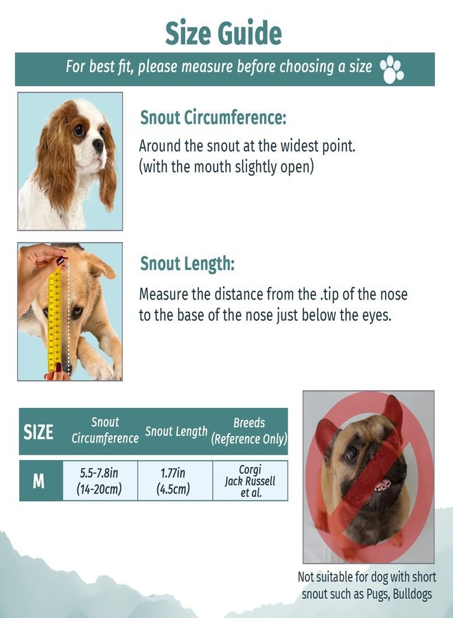 ولهيف كمامة WLLHYF المصنوعة من النايلون الناعم - كمامة من قماش شبكي يسمح بالتهوية للكلاب الصغيرة (برتقالي) - Image 3