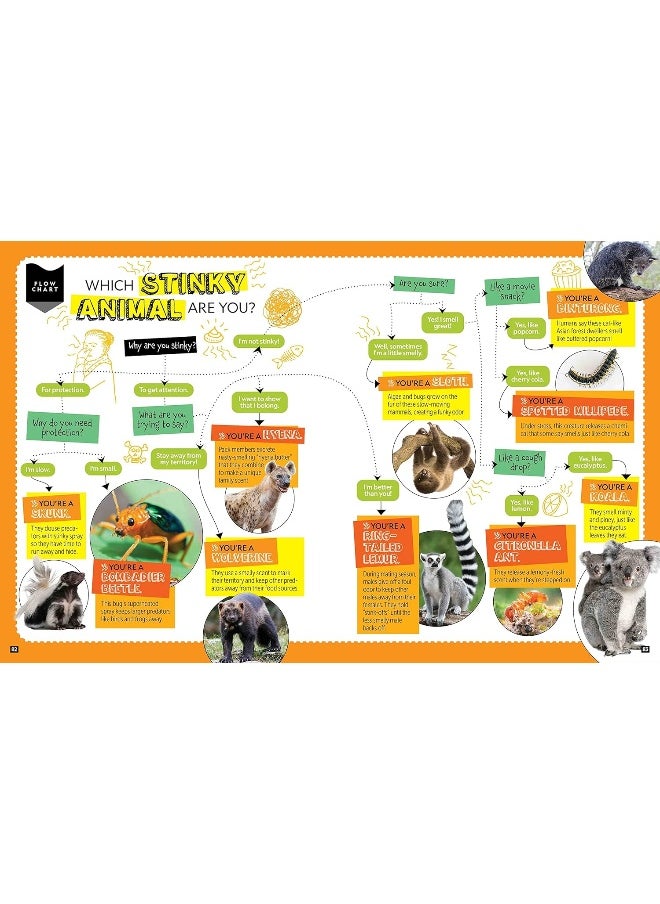 National Geographic Kids Personality Quizzes  - Image 3