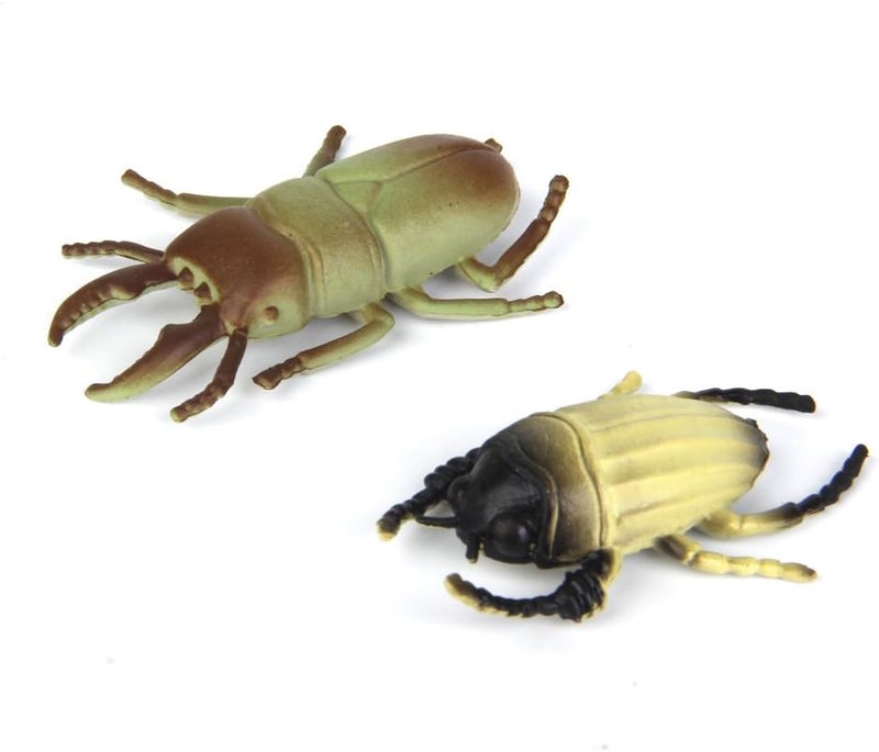 klarako 12x Multi color Beetle Model, Fake Beetle Insect Model, Realistic Plastic Beetle Figures Collection, Science Educational Toy - Image 2