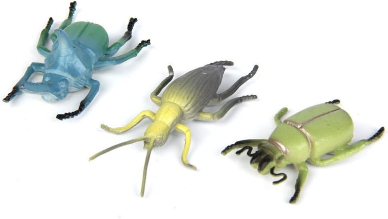 klarako 12x Multi color Beetle Model, Fake Beetle Insect Model, Realistic Plastic Beetle Figures Collection, Science Educational Toy - Image 5